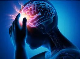 Дослідження виявило, що юність триває до 30-х: вплив ключових вікових етапів на мозок