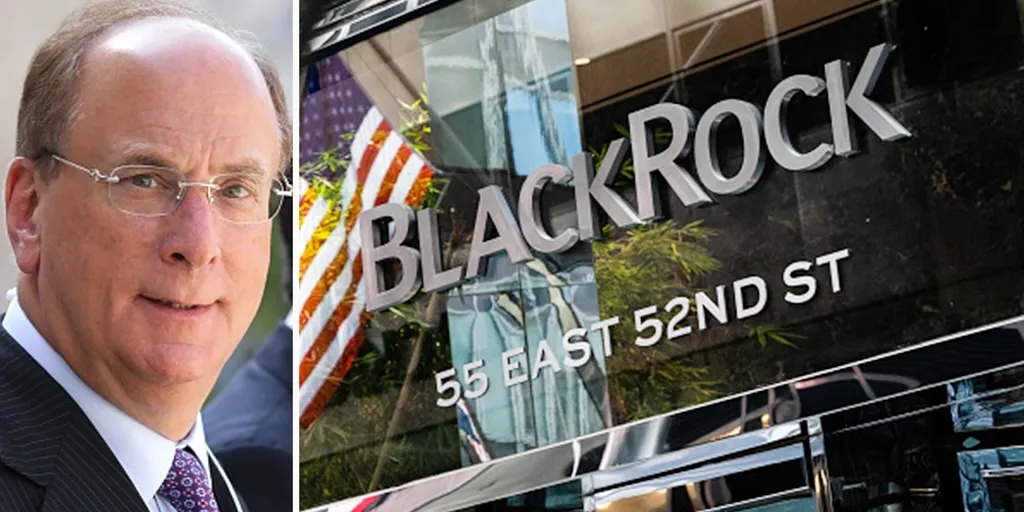 BlackRock назвала биткоин засобом збереження вартості, а не глобальною системою платежів