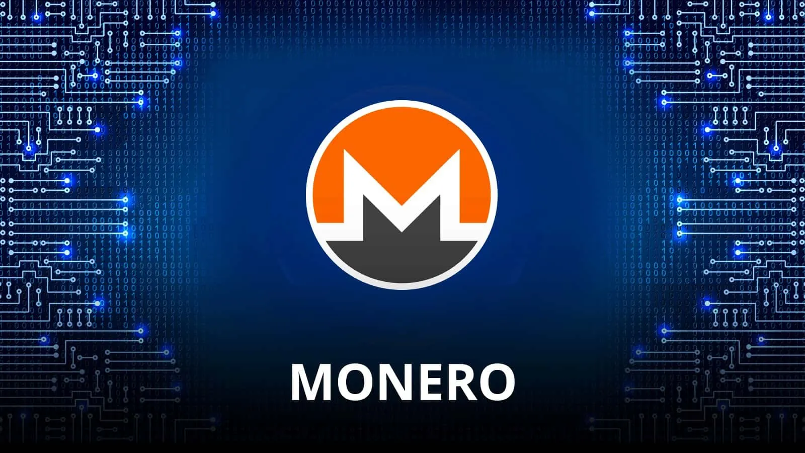 Monero transaction activity remains strong despite delistings