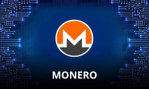 Monero transaction activity remains strong despite delistings