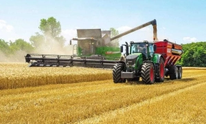 Wizz Air відкрив продаж квитків на рейс Київ-Зальцбург