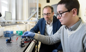 Кризис найма в индийском ИТ-секторе из-за искусственного интеллекта