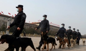 Названо найкращого музиканта десятиліття за версією Billboard