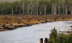 Польща передасть Україні ще 6 винищувачів МіГ-29 – Дуда