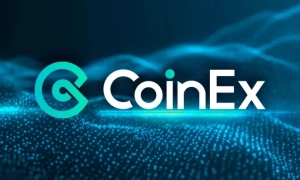 Сильне падіння хешрейту Bitcoin уперше з квітня 2024 року може свідчити про капітуляцію майнерів