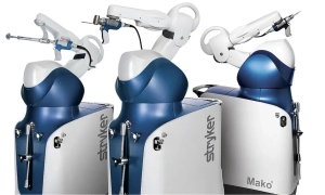 Стартап із Сан-Франциско створив цифрову копію мозку мухи з симуляцією тіла