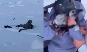 Названа кількість людей, що голодуватимуть у світі через росію