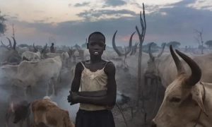 Британія готова допомогти Польщі винищувачами — The Telegraph