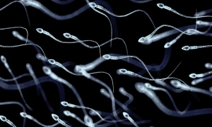 Стало відомо, скільки українців захворіли на ГРВІ, грип та коронавірус у минулому місяці 