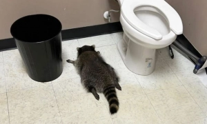 Відео: хлопчик запросив додому поліцейських, аби показати їм свої іграшки