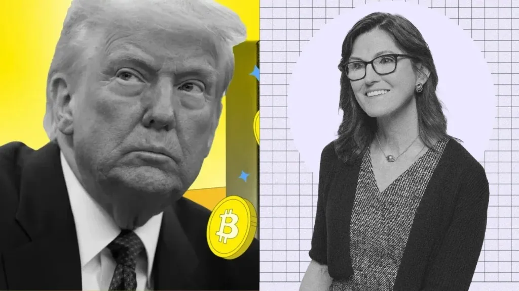 Cathie Wood suggests US government might buy Bitcoin for national reserve