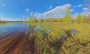 На Вінниччині викрили схему розкрадання мільйонів на армійських ліжках