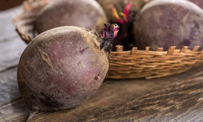 В Україні різко впали ціни на столовий буряк