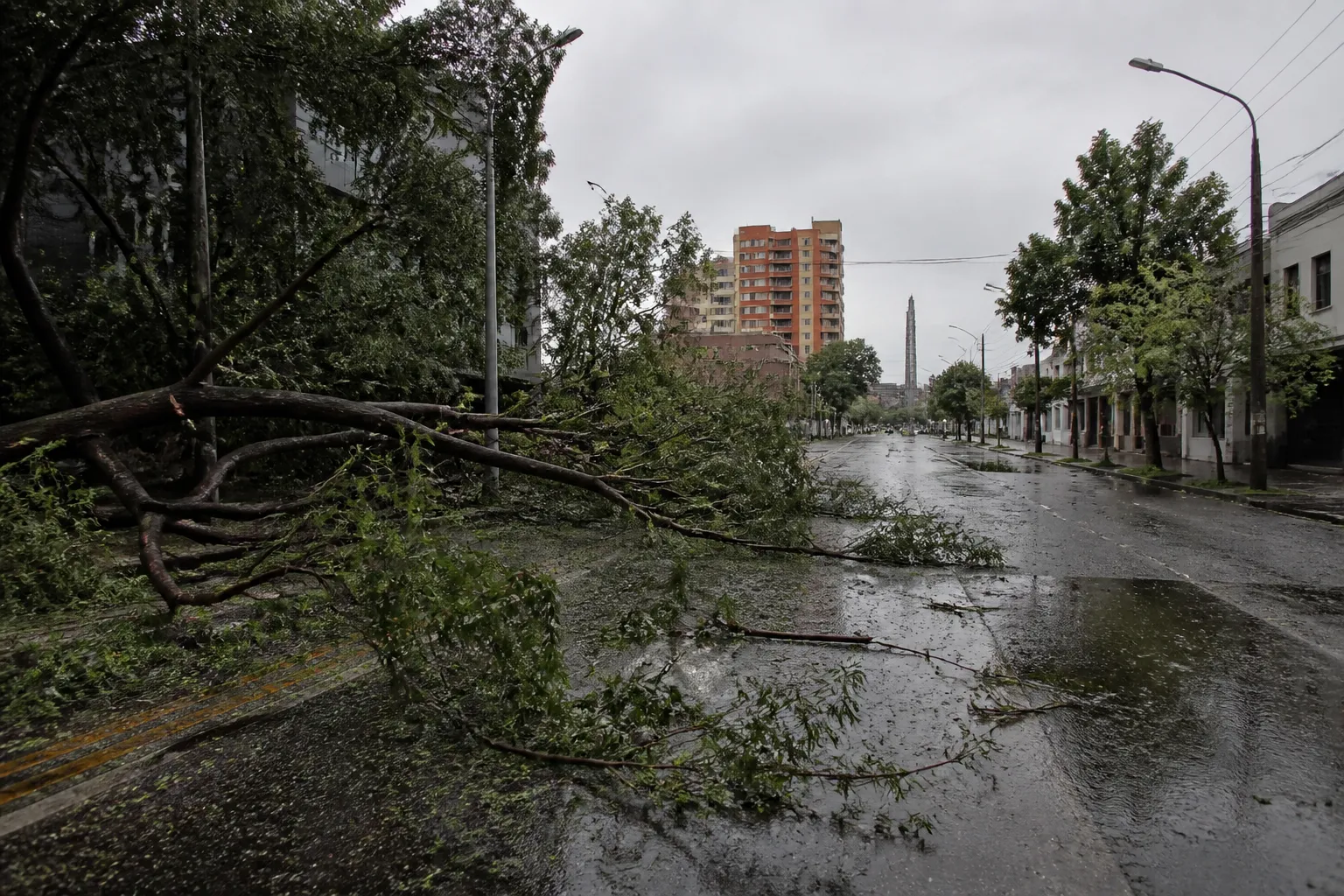 Downpour in Guadalajara metropolitan area uproots trees and damages shopping centers
