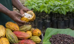 Sunbeth releases sustainability report under IFRS standards
