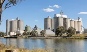 SunRice zlikwidowała 78 miejsc pracy w zakładach ryżowych w Australii — ABC News Australia
