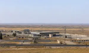 В Ізраїлі дослідили зуб слона віком 800 тисяч років — Jerusalem Post