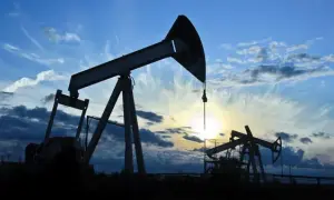 Свято 4 серпня 2026 – Міжнародний день димчастого леопарда