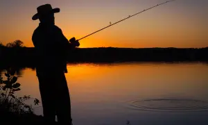 Укрзалізниця скорочує кількість поїздів до Карпат