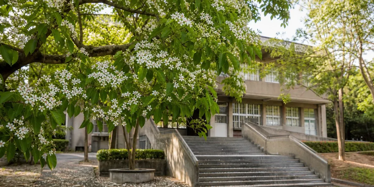 台北14名学生食用桐树坚果后送医——《台北时报》