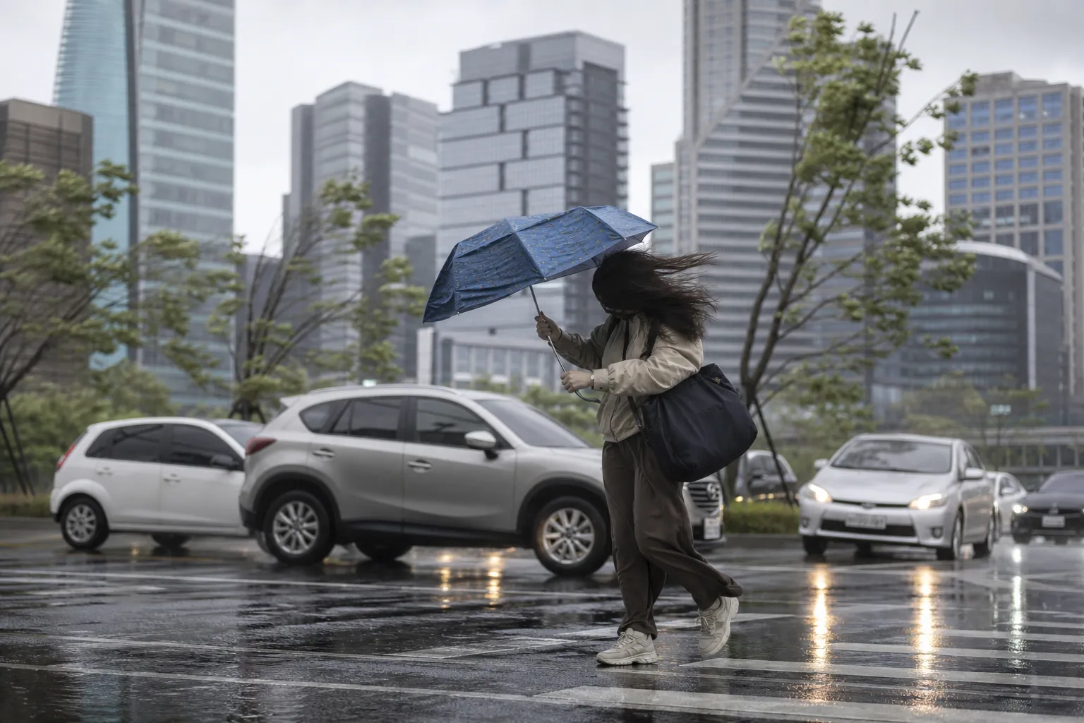 Температура на севере Тайваня может опуститься до 17°C — Taipei Times