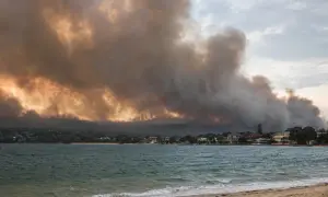 Принц Гарри и Меган Маркл решили не называть фамилию королевского расиста