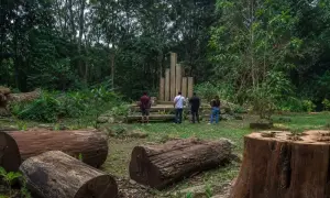 Громада штату Тараба просить створити окремий виборчий округ — Premium Times Nigeria