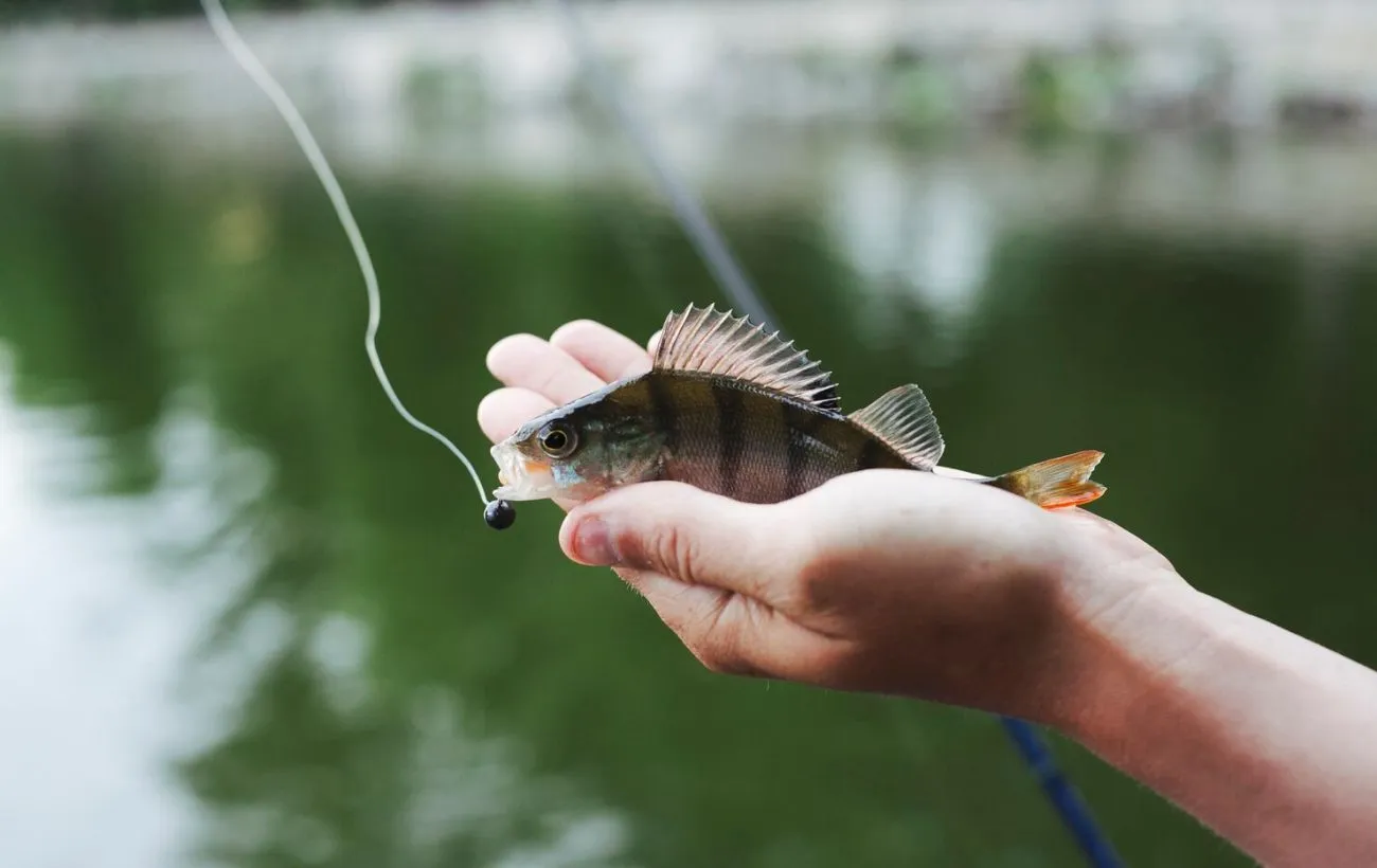 Календар рибалки на травень 2026 року