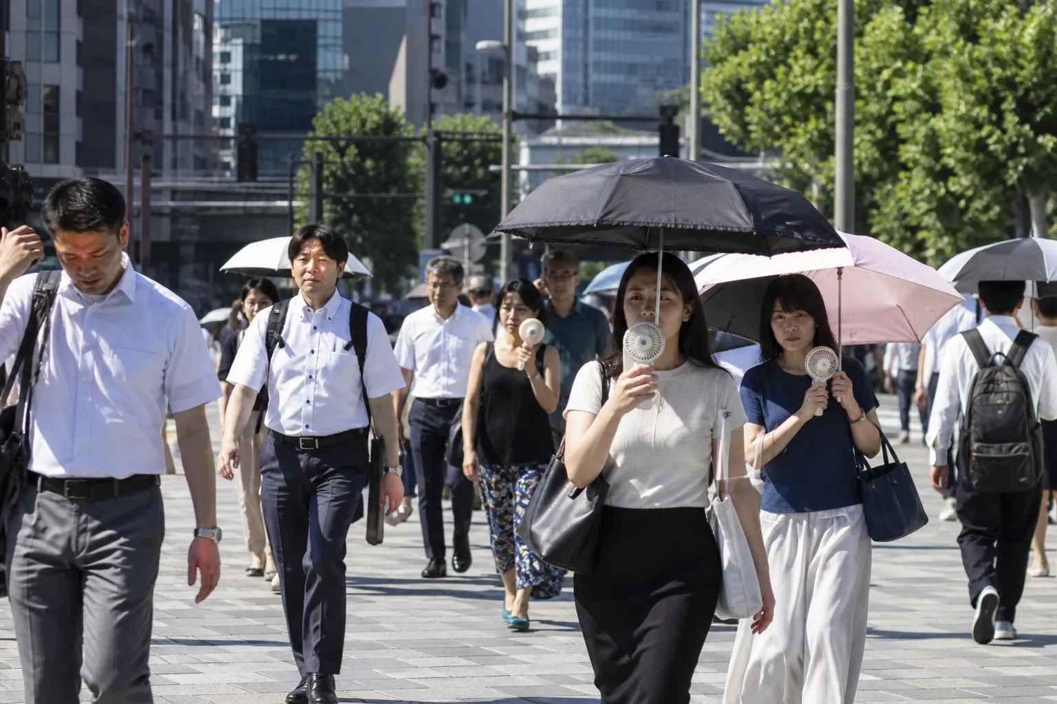 Середня температура Токіо зросла приблизно на 3°C за століття — The Japan Times