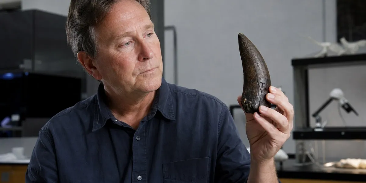 US tooth study indicates Tyrannosaurus rex was warm-blooded