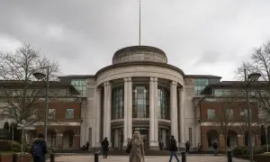 США запрещают ввоз собак из Украины и еще сотни стран