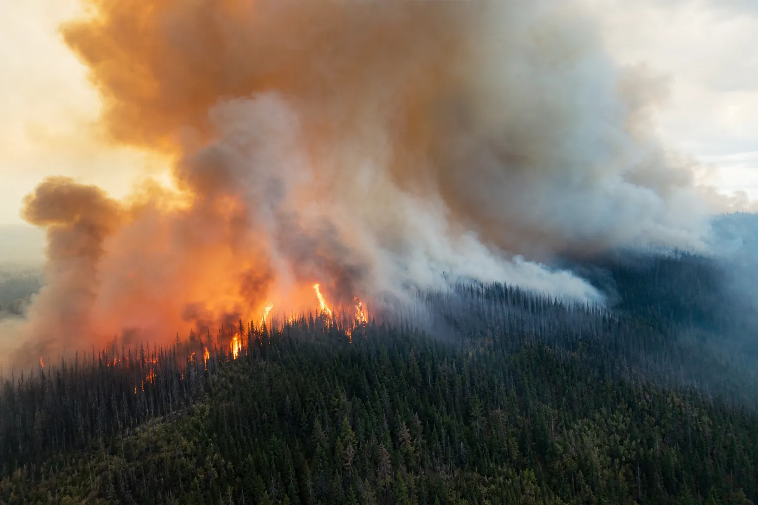 Trump Threatened Canada with Higher Tariffs Over Wildfires