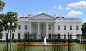 Капітану судна висунули обвинувачення після загибелі жінки та немовляти в гавані Нью-Йорка