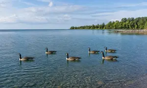 Верховный суд Британии признал законным план правительства депортировать нелегальных мигрантов в Руанду