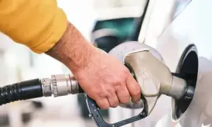 Итальянская Википедия объявила забастовку против нового авторского законодательства ЕС
