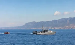 Видео: в Японии спасшую человека кошку сделали начальником полиции