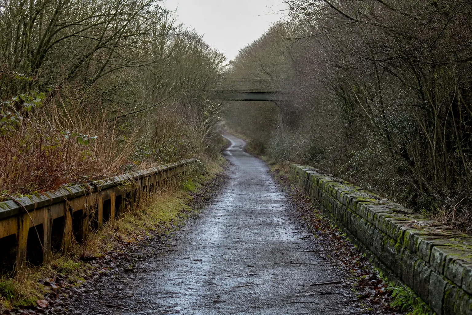 Authorities in Wakefield are investigating the death of a man following a dog bite on suspicion of murder