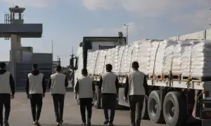 В Латвии полиция разняла барсука и ежа в подъезде дома — LSM English