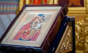 Відео: нардеп Ківа відмітився перепискою у непристойній позі