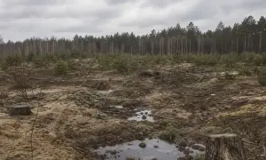 Великобритания начала эвакуировать своих дипломатов из Украины
