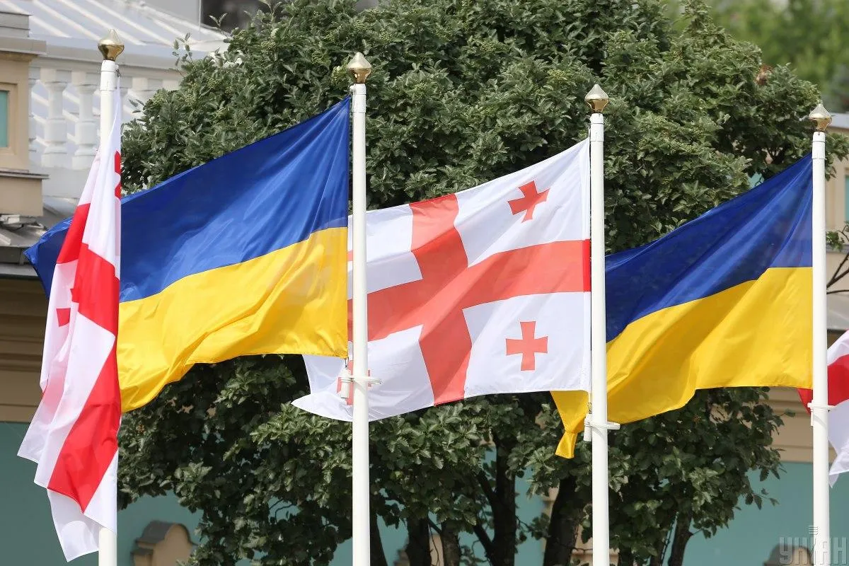 Грузія звинуватила Україну у невдячності