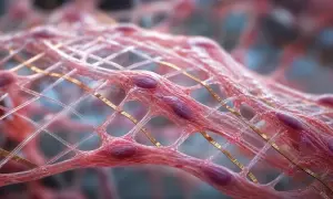 45,6% участников имели симптомы сотрясения мозга через год — News-Medical