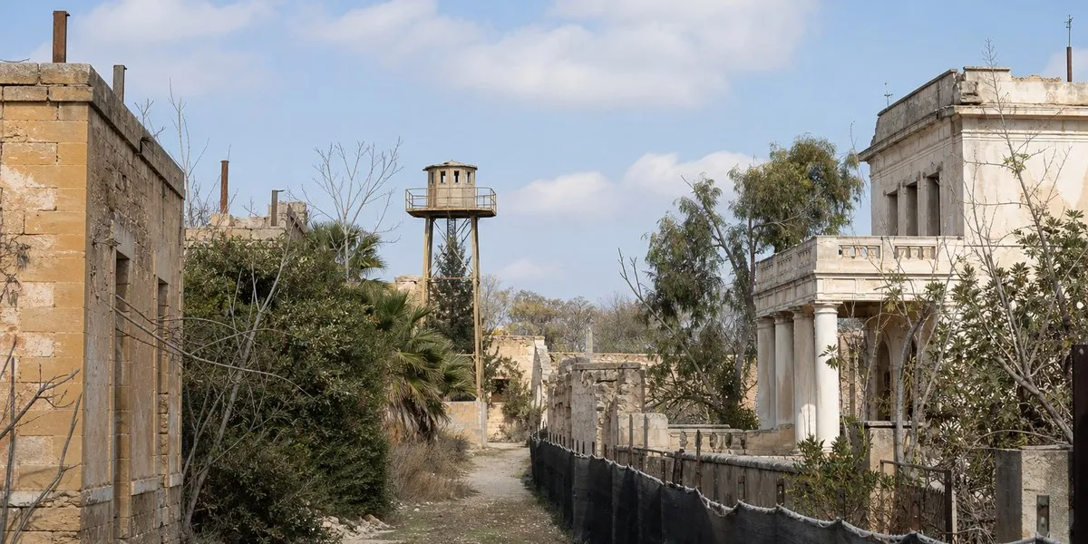 ООН предостерегла от охоты в буферной зоне Кипра — Cyprus Mail