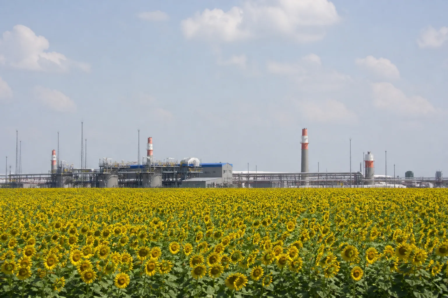 У Болгарії біля кордону з Румунією вибухнув невідомий дрон
