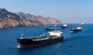Чарльз ІІІ відсвяткував перший день народження у статусі короля Британії