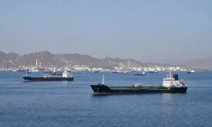 Румыния требует от ЕС более надежной защиты от российских дронов