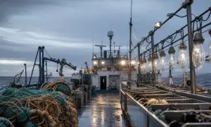 В Грузии еще на полгода продлили программу помощи беженцам из Украины