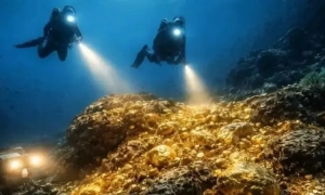 Фото: в Німеччині перекинувся автобус з туристами