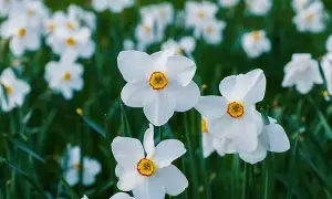 Лілія Подкопаєва вперше прокоментувала трагедію в її родині