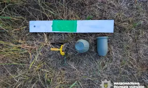 МОЗ вимагає пояснити перебування Крисіна в Інституті серця